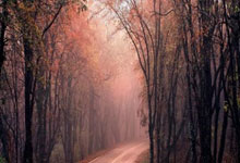 世预赛欧洲区最新战况如何？豪强厮杀、黑马涌现亮点多！